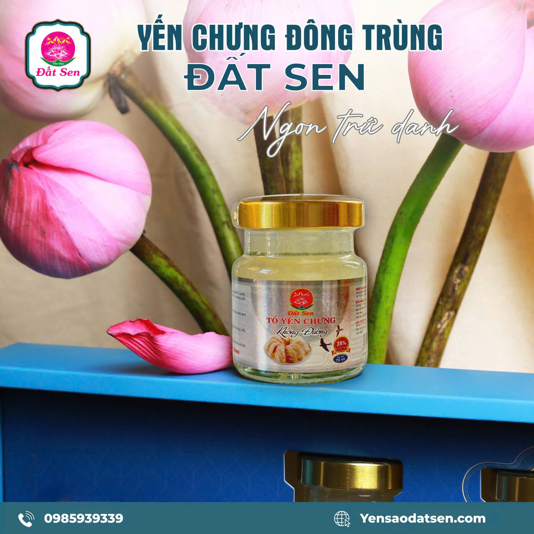 YẾN CHƯNG KHÔNG ĐƯỜNG